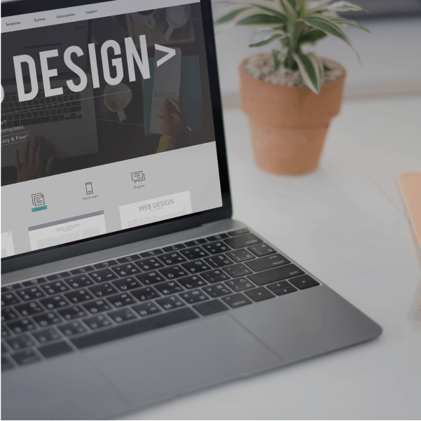 Curso de Web Designer em Wordpress